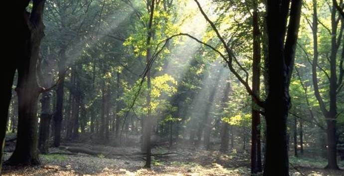 NS Wandeling Ede-Wageningen naar Wolfheze