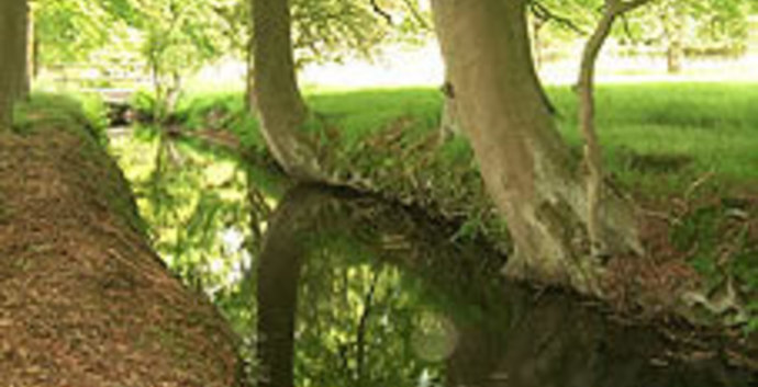 Wandelcafé Ugchelen. Sprengen, heide en herfstbos!