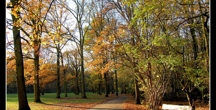 Wandelcafé Rotterdam Kralingse Plas. Singles 35+