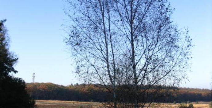 Herfst Wandelcafé Renderklippen Epe (sorry dus NIET Ede)