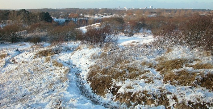 Nieuwjaarswandeling Waterleidingduinen Zandvoort