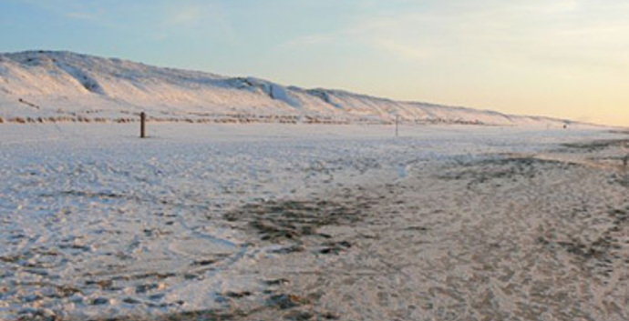 Winter Wandelcafé Strand & Duinen Meijendel Wassenaar