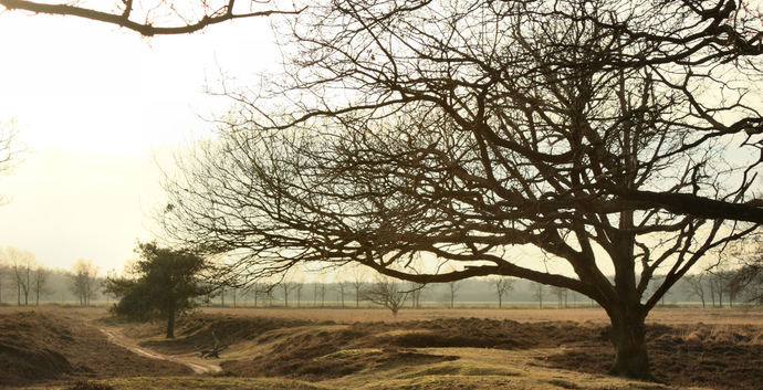 Pasen Single Weekend weg - Mooi Drenthe!