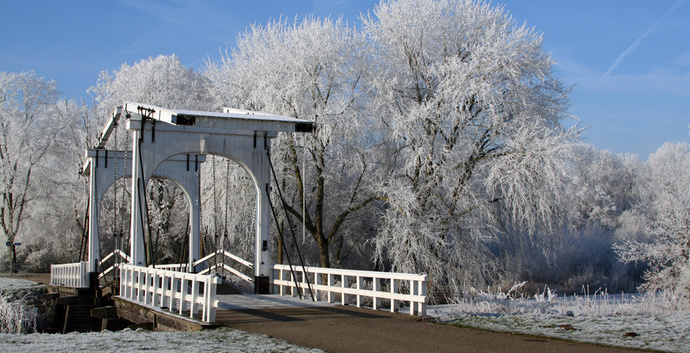 Winter Wandelcafé Amsterdamse Bos. Singles 35+