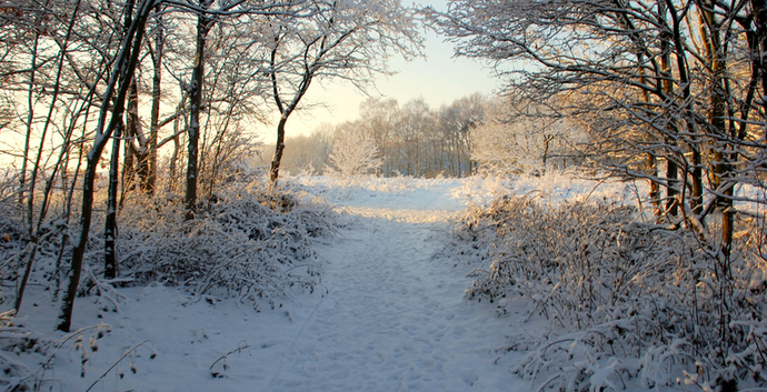 Winter Wandelcafé Veluwe Epe