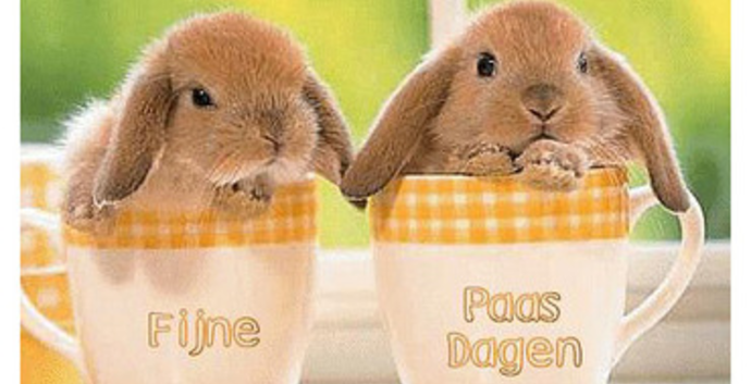 Eat & Meet Paasbrunch Arnhem (Doorwerth). Singles 35+