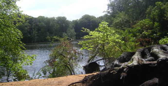 Singles Wandelcafé Landgoed De Horsten, Wassenaar