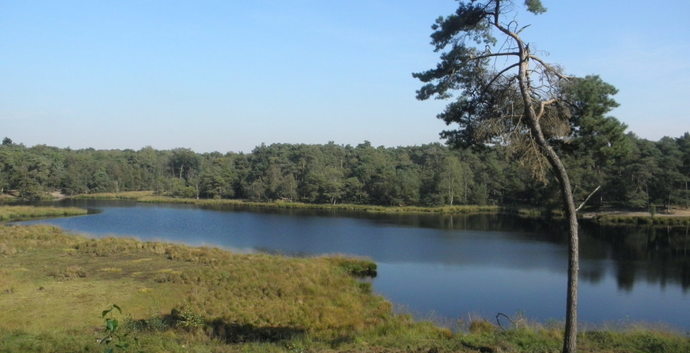 Singles Wandelcafé Overasseltse en Hatertse Vennen