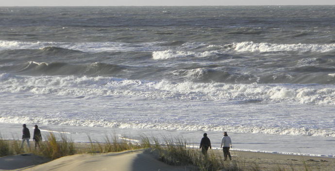 Wandelcafé Strand & Duinen Meijendel Wassenaar