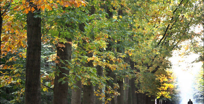 Wandelcafé singles Breda Mastbos & rivier Mark