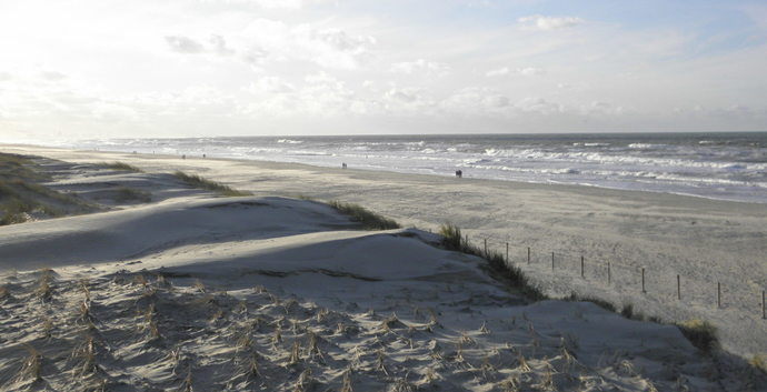 Wandelcafé duinen & strand Zandvoort