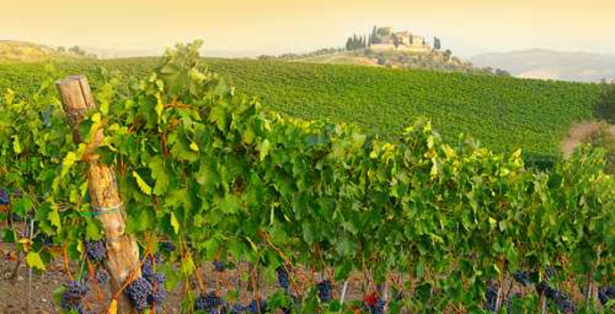 Singlereis Italie Culinair. Toscane & Florence. GAAT NIET DOOR