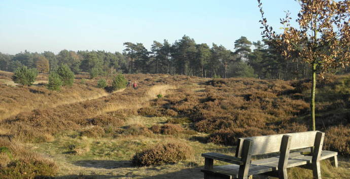 Pinksteren Wandelcafé Zeist. Landgoed Heidestein. Singles 35+