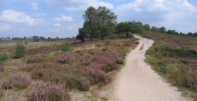 Wandelcafé Noord-Limburg. Wellerlooi. Landgoed de Hamert