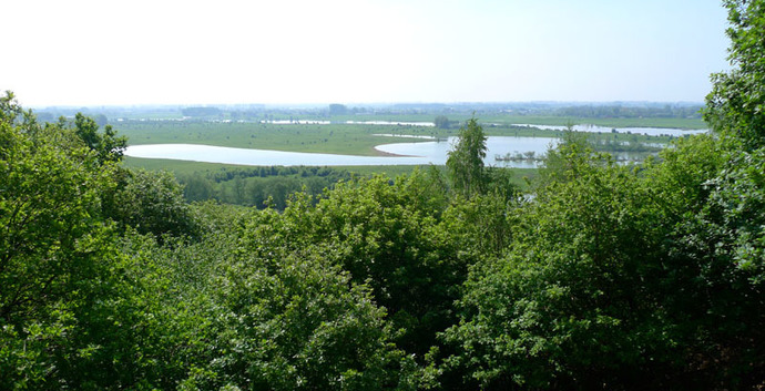 Wandelcafé Rhenen en Grebbeberg.