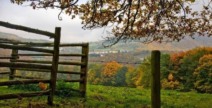 Single herfstweekend Ardennen & Durbuy GAAT NIET DOOR