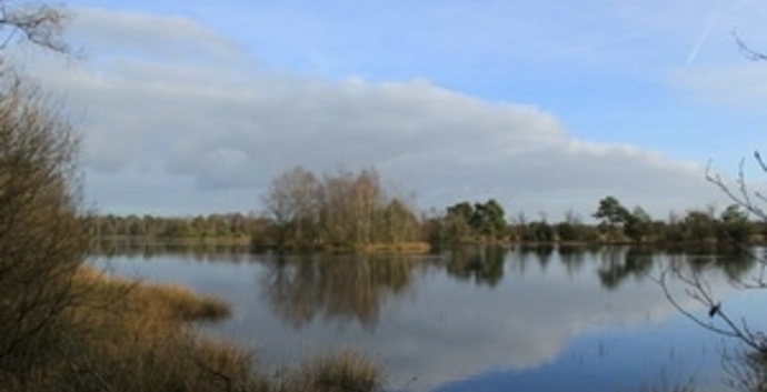 Wandelcafé Leersumse Veld. Vennen, heide, bos