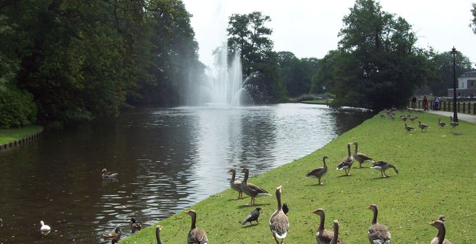Wandelen Sonsbeek Arnhem. Singles 35+
