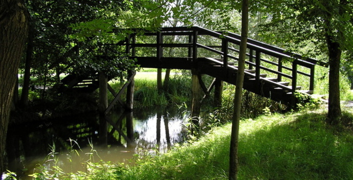 Singles fietsvakantie Spreewald. Duits Venetië. 7 dagen.