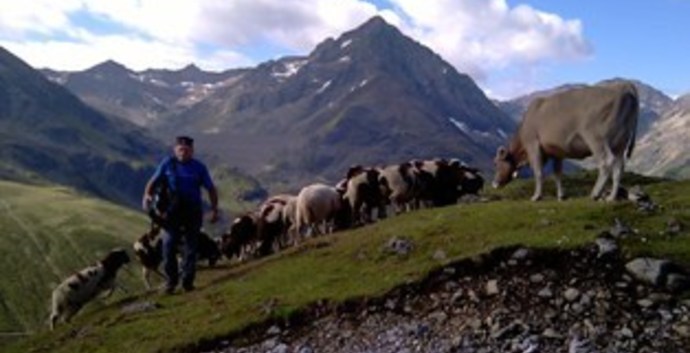 Singles wandelreis Oostenrijk. Ötztal,Tirol. 8 dagen.