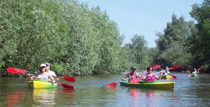 Pinksteren weekendje weg Biesbosch. Singles 40+ GAAT NIET DOOR
