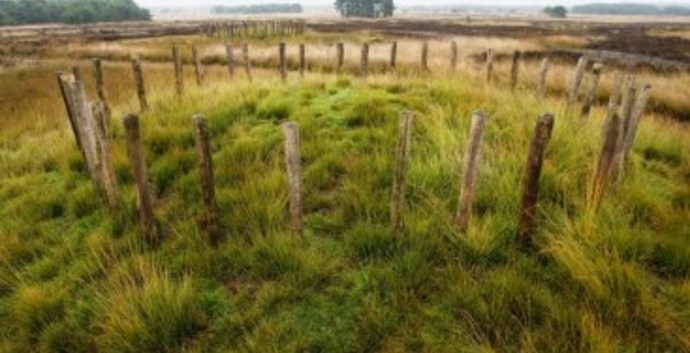Wandelcafé Riel bij Goirle- Tilburg, Regte Heide