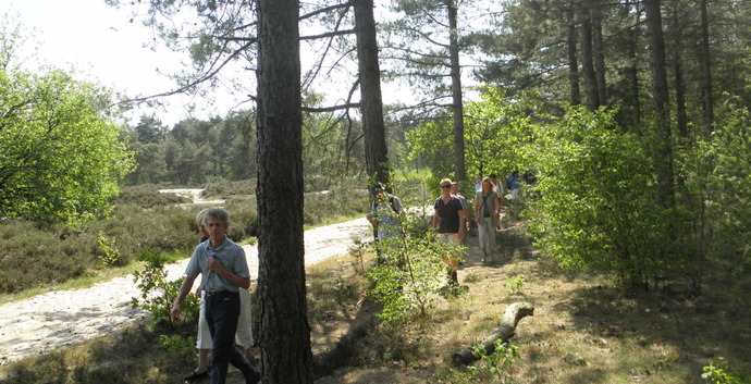 Wandelcafé Landgoed Birkhoven/ Soesterduinen Soest
