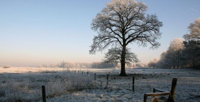 Winter Wandelcafé Riel bij Goirle- Tilburg, Regte Heide