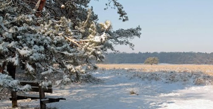 Winter wandelcafé Zuiderheide bij Hilversum. Singles 40+ 50+