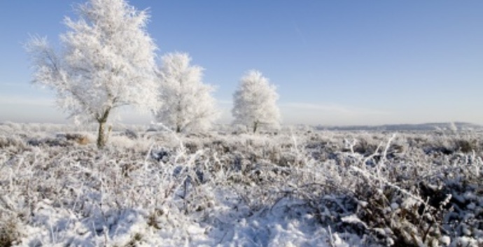 Wandelcafé Ginkelse Heide singles 40+ 50+ 60+