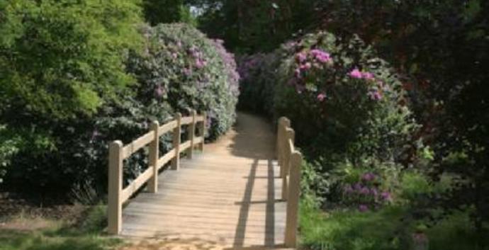 Wandelcafé Baarn Landgoed Groeneveld & De Vuursche. Singles 40+50+60+