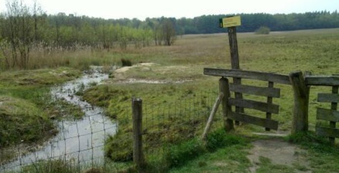 Wandelcafé Epe, Wisselse Veen. Singles 40+50+60+