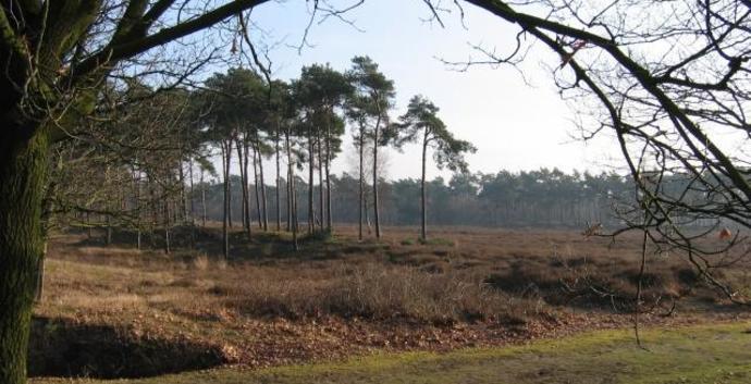 Wandelcafé Oss/ Herpen Herperduin. Singles 40+50+60+ GAAT NIET DOOR
