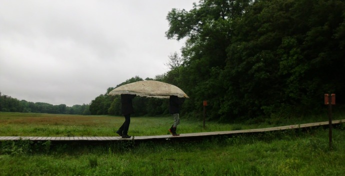 Wandelcafé Renkums Beekdal & Kunstroute! Wandelen Singles 40+50+60+