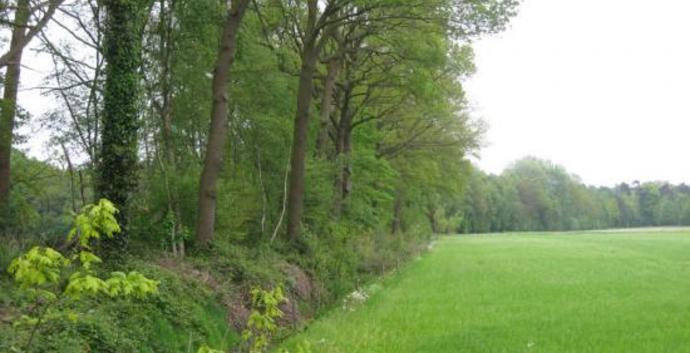 Wandelcafé Den Bosch. Landgoed De Pettelaar. SIngles 40+50+60+