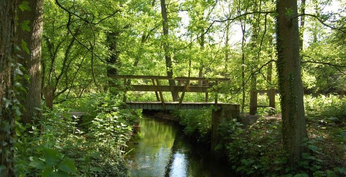 Koningsdag Wandelcafé & Esbeek. Landgoed De Utrecht. GAAT NIET DOOR!