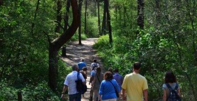 Wandelcafé Loonse en Drunense Duinen. Wandelen singles 40+50+60+