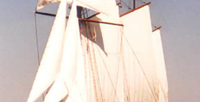 Open dag Krekt Sailing AMSTERDAM