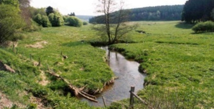 Wandelcafé Liempde. Langs de Dommel!  Wandelen singles 40+ 50+ 60+