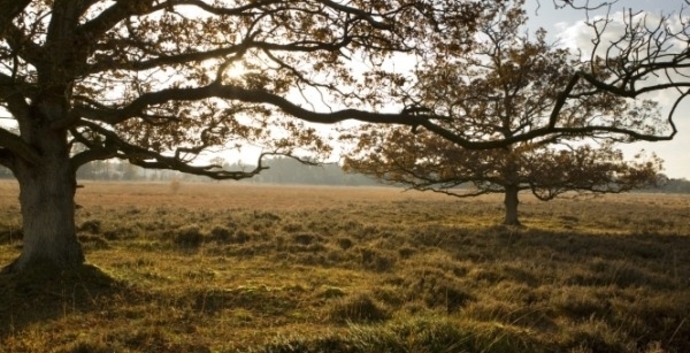 Meditatie- en wandelweekend Drenthe, 4 dgn
