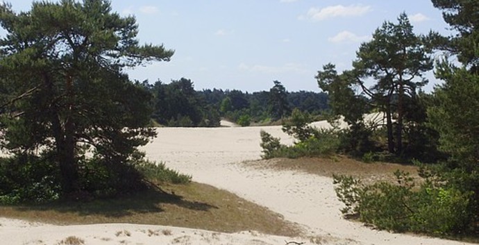 Wandeling Hulshorsterzand