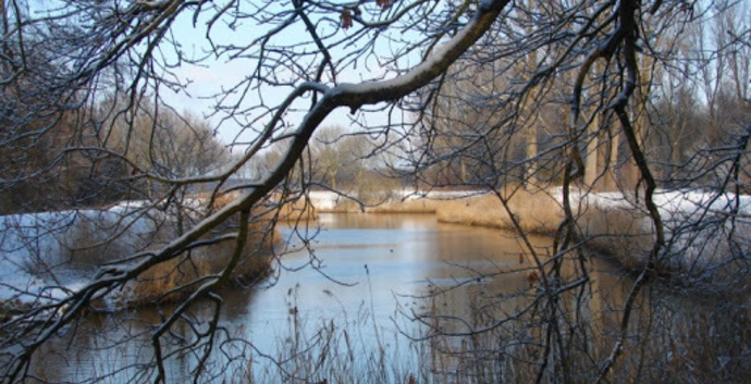 Kerst Wandelcafé Oirschot & dal van de Beerze & Heilige Eik. Wandelen Singles 40+ 50+ 60+